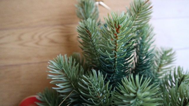 壁掛け式クリスマスツリー、枝部分のアップ写真