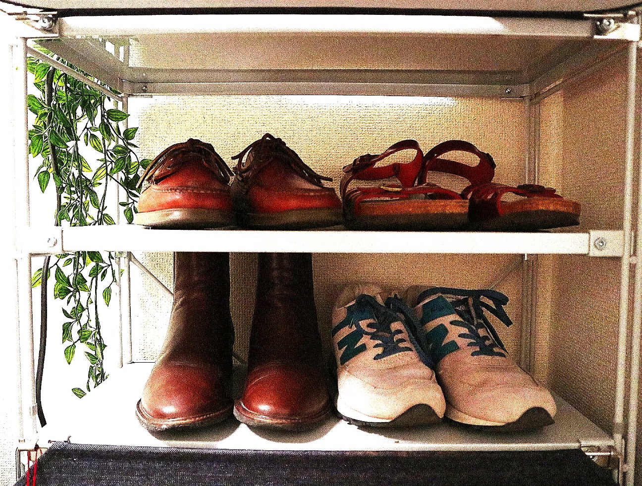 棚に並んだ４足の靴