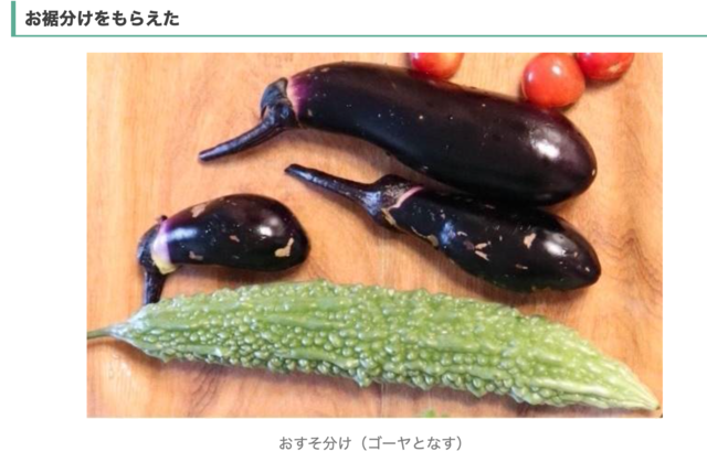 シェア畑は高いのか　お裾わけ野菜の写真